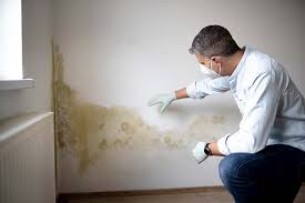 Why You Should Choose Our Mold Remediation Services in Nekoosa, WI